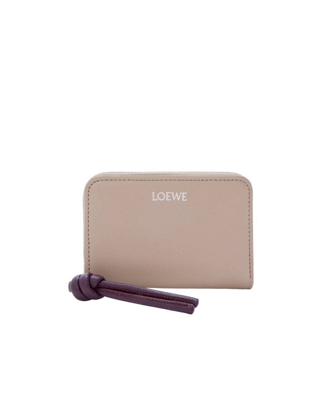 Loewe Multicolor Zipped Coin Purse