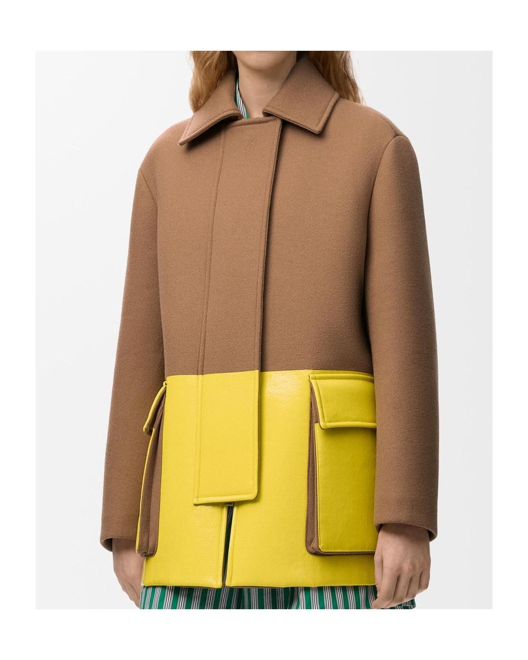 Loewe Yellow Coat