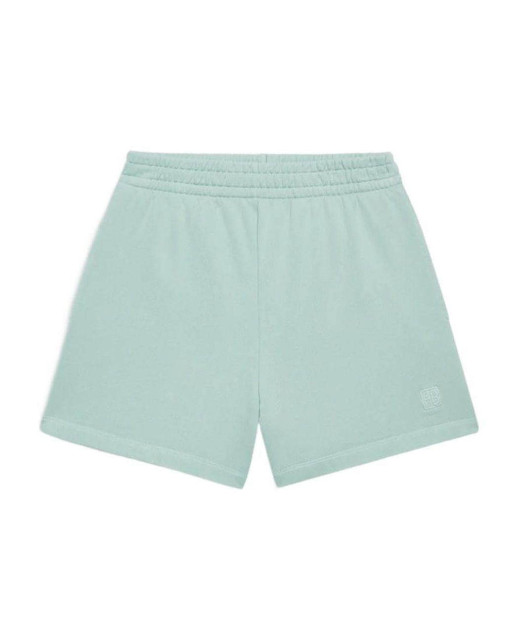 Anine Bing Blue Elastic Waist Shorts