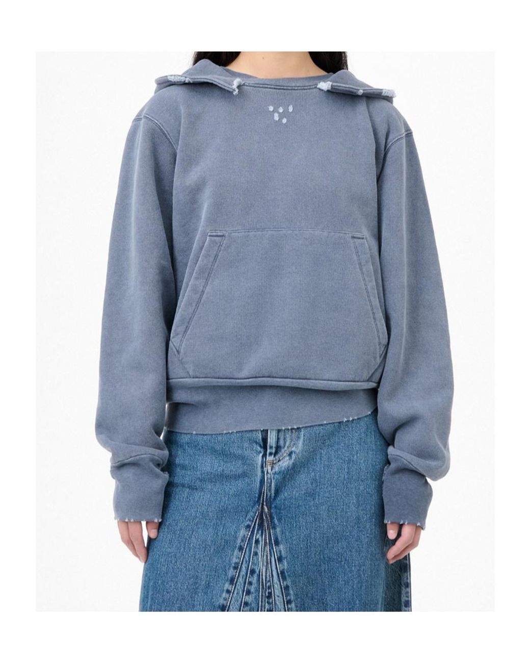 Our Legacy Blue Relic Distressed Hoodie