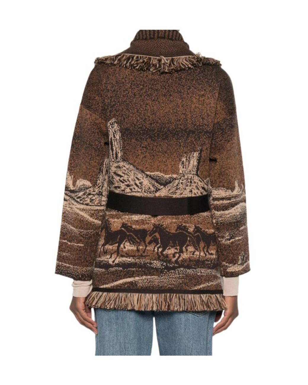 Alanui Brown Wild Wild Wool Cardigan