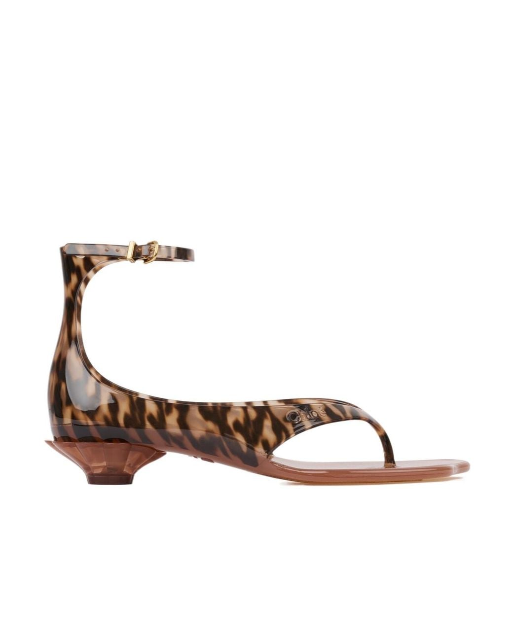 Chloé Brown Chloé Jelly Thong Sandals
