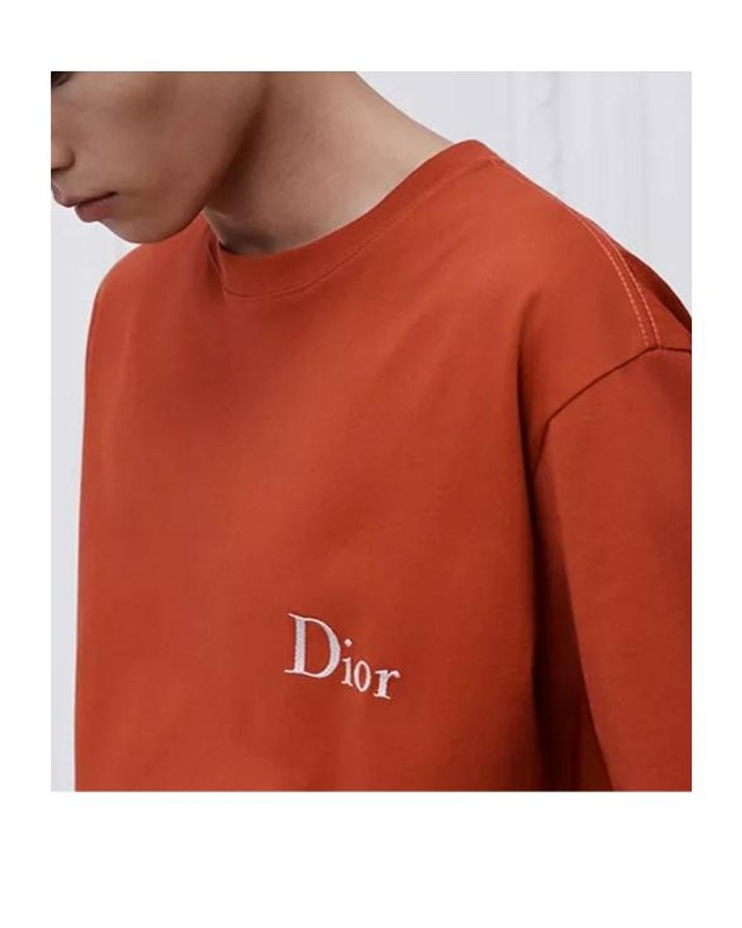Dior Orange T-Shirt With Embroidery, Relaxed Fit for men