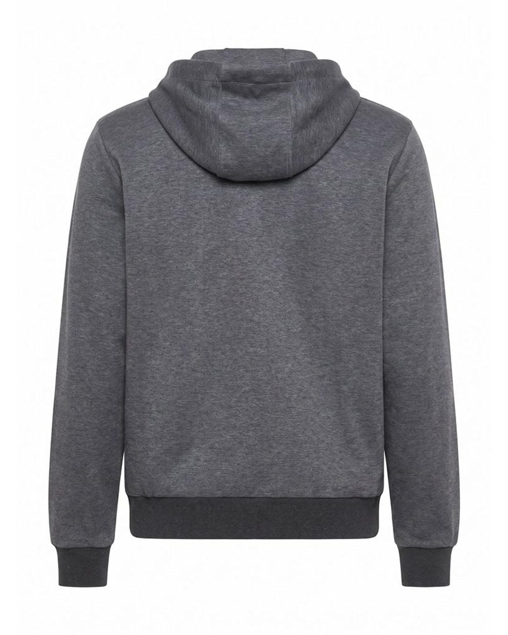Peserico Gray Zipped Hoodie for men