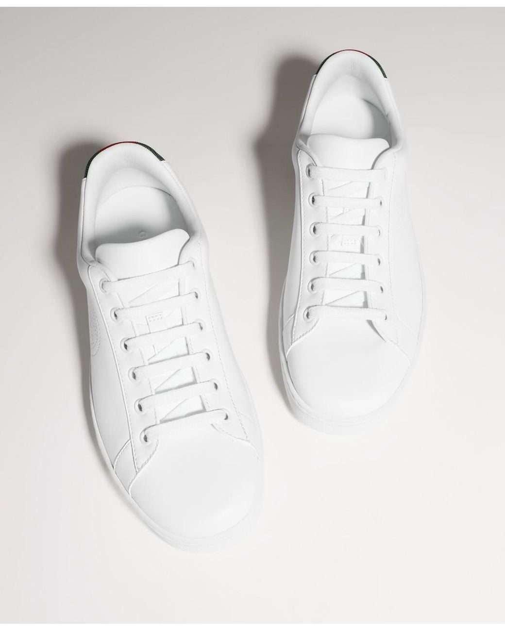 Gucci White Ace Sneaker