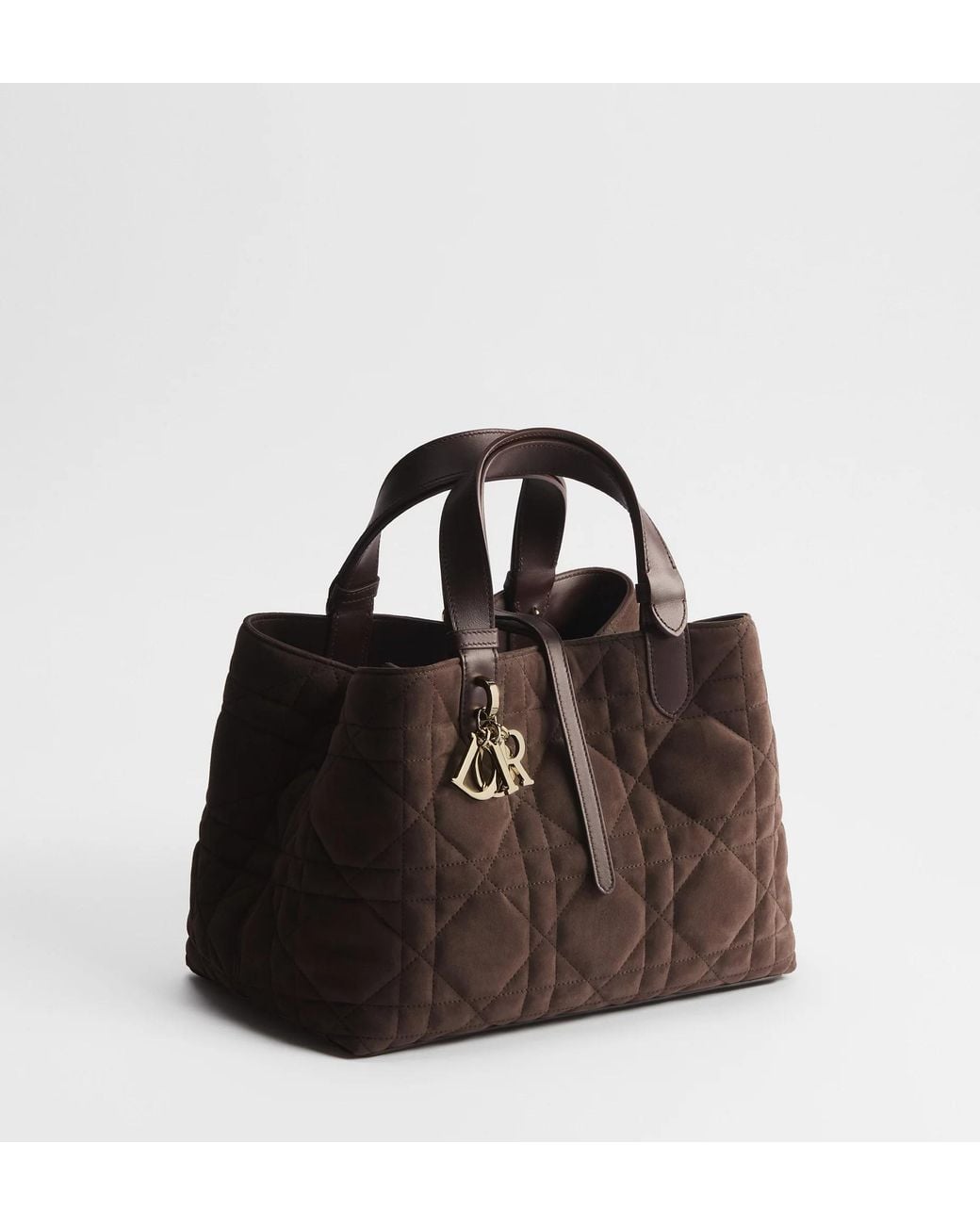 Dior Brown Medium Toujours Bag