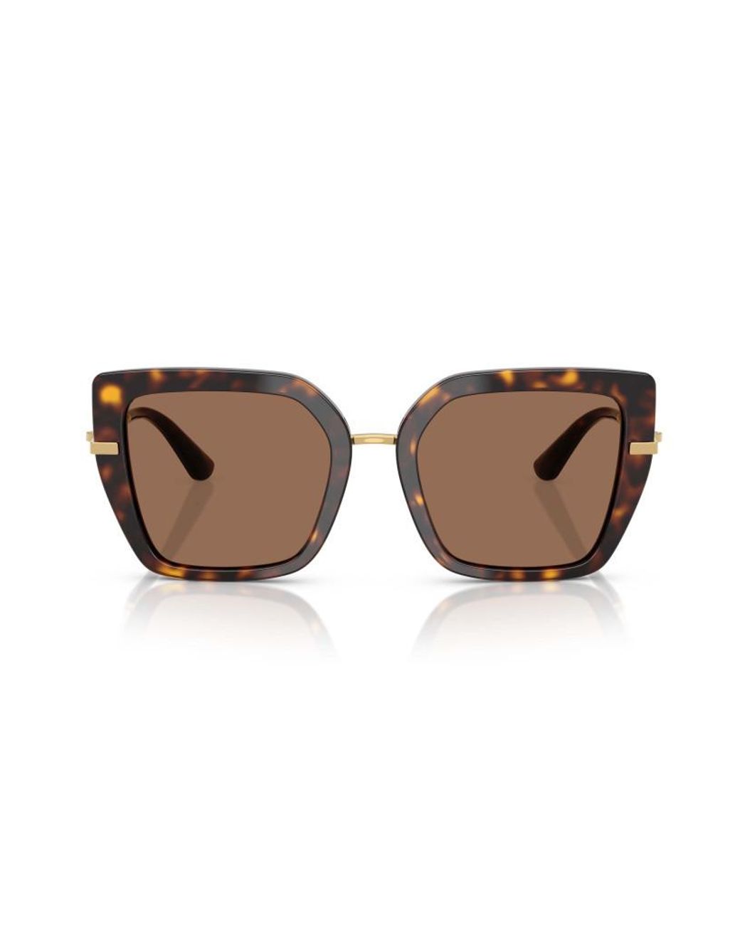Dolce & Gabbana Brown Eyewear Butterfly Frame Sunglasses