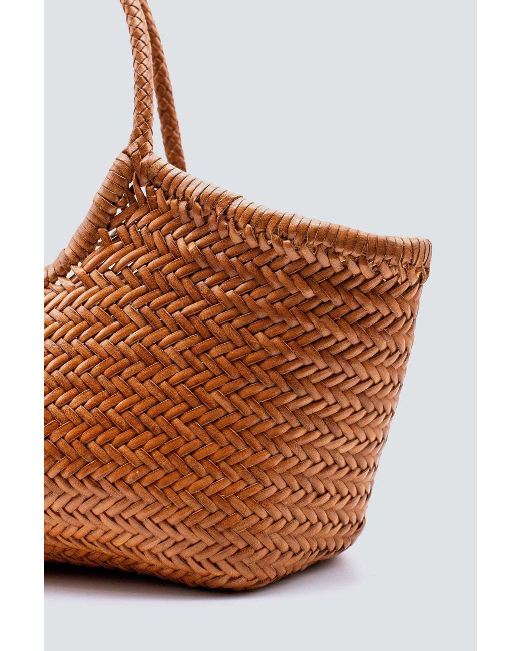 Dragon Diffusion Brown Nantucket Big Tote Bag