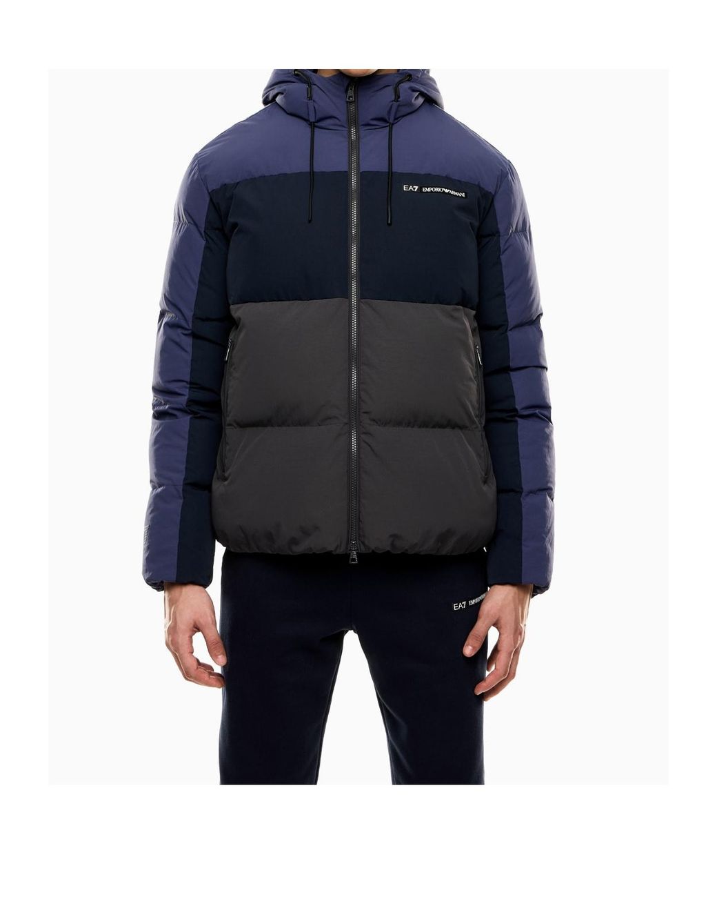EA7 Blue Athletic Colour Block Jacket for men