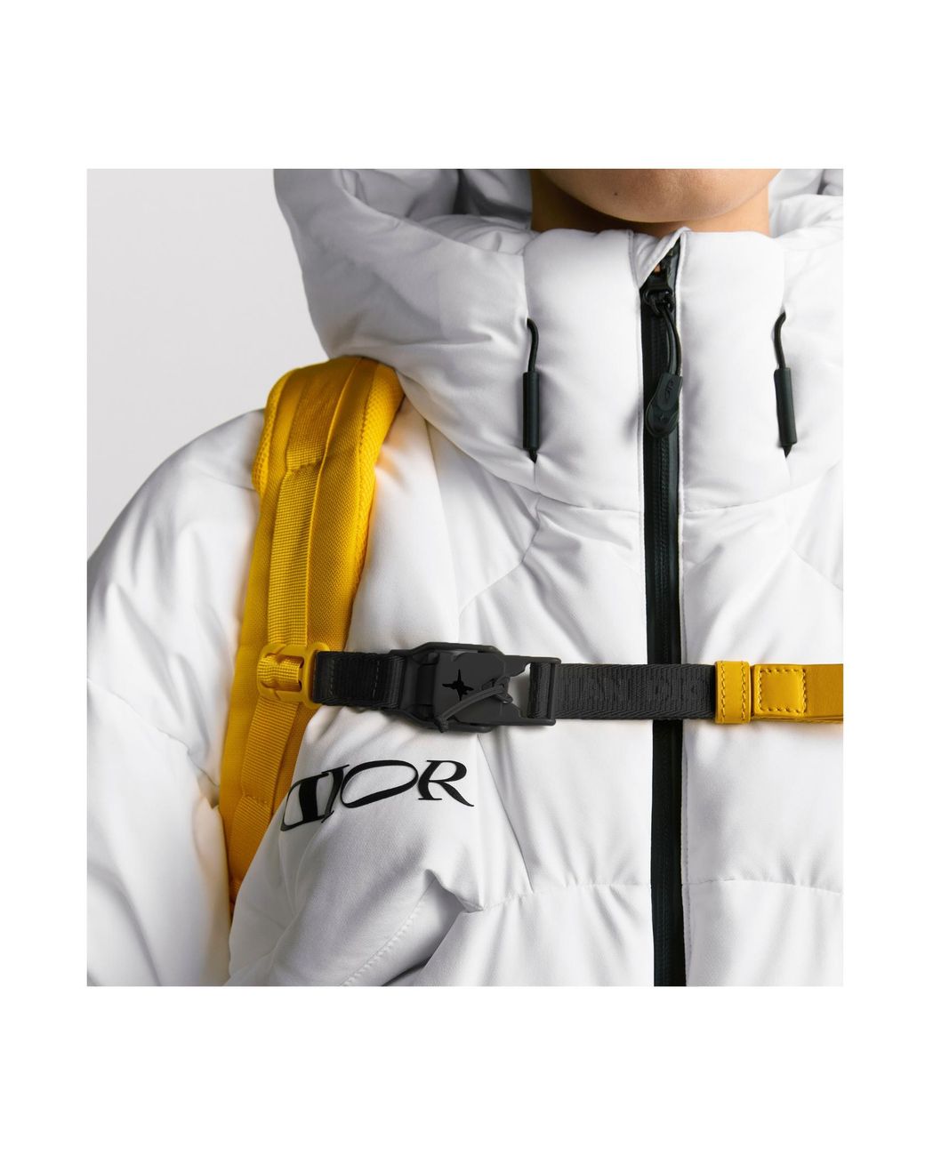 Dior Gray And Descente And Lewis Hamilton Quilted Puffer Ski Jacket for men
