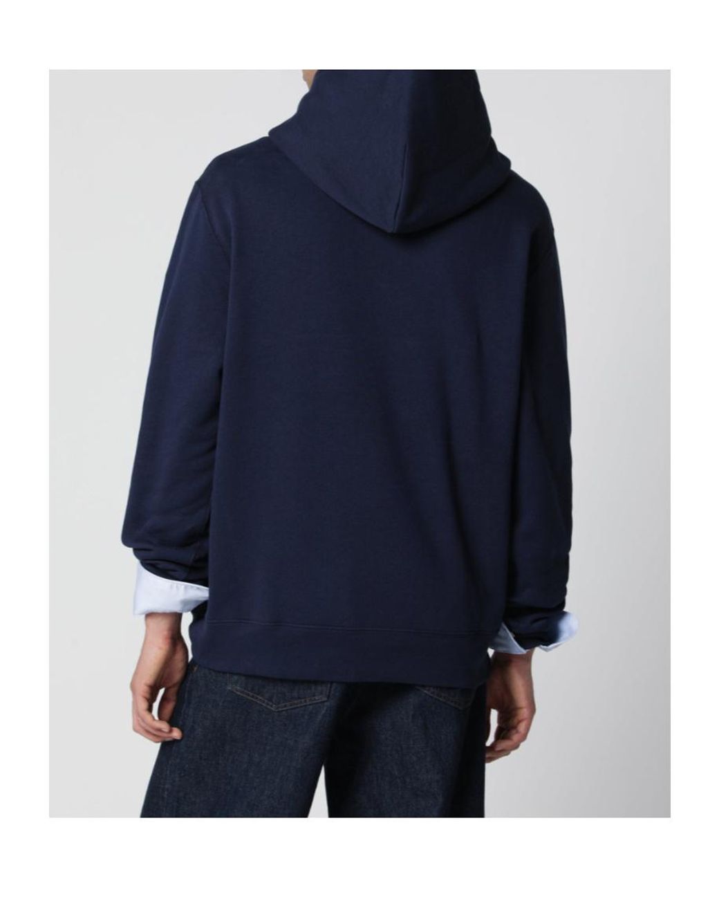 Polo Ralph Lauren Blue Polo Bear Graphic Hoodie for men