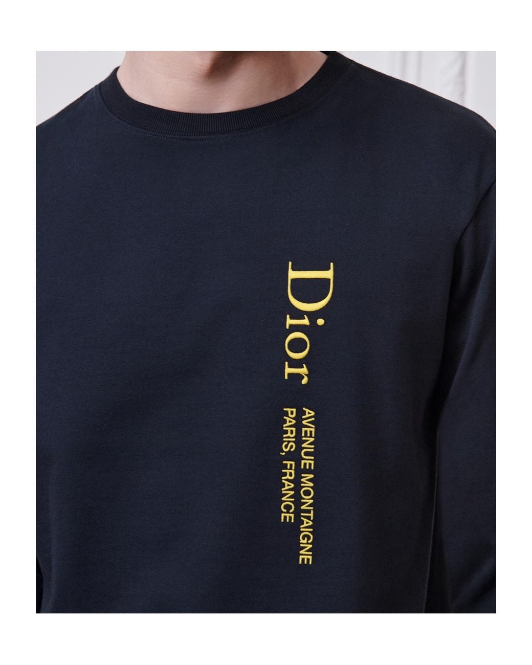 Dior Blue Alps Montaigne Long-Sleeved T-Shirt, Relaxed Fit for men