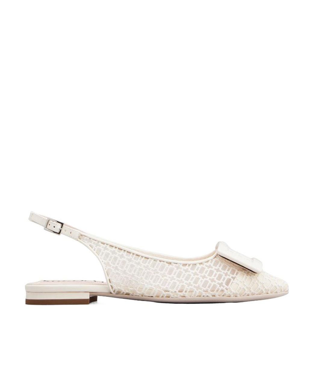 Roger Vivier Natural Pointed-Toe Ballet Flats