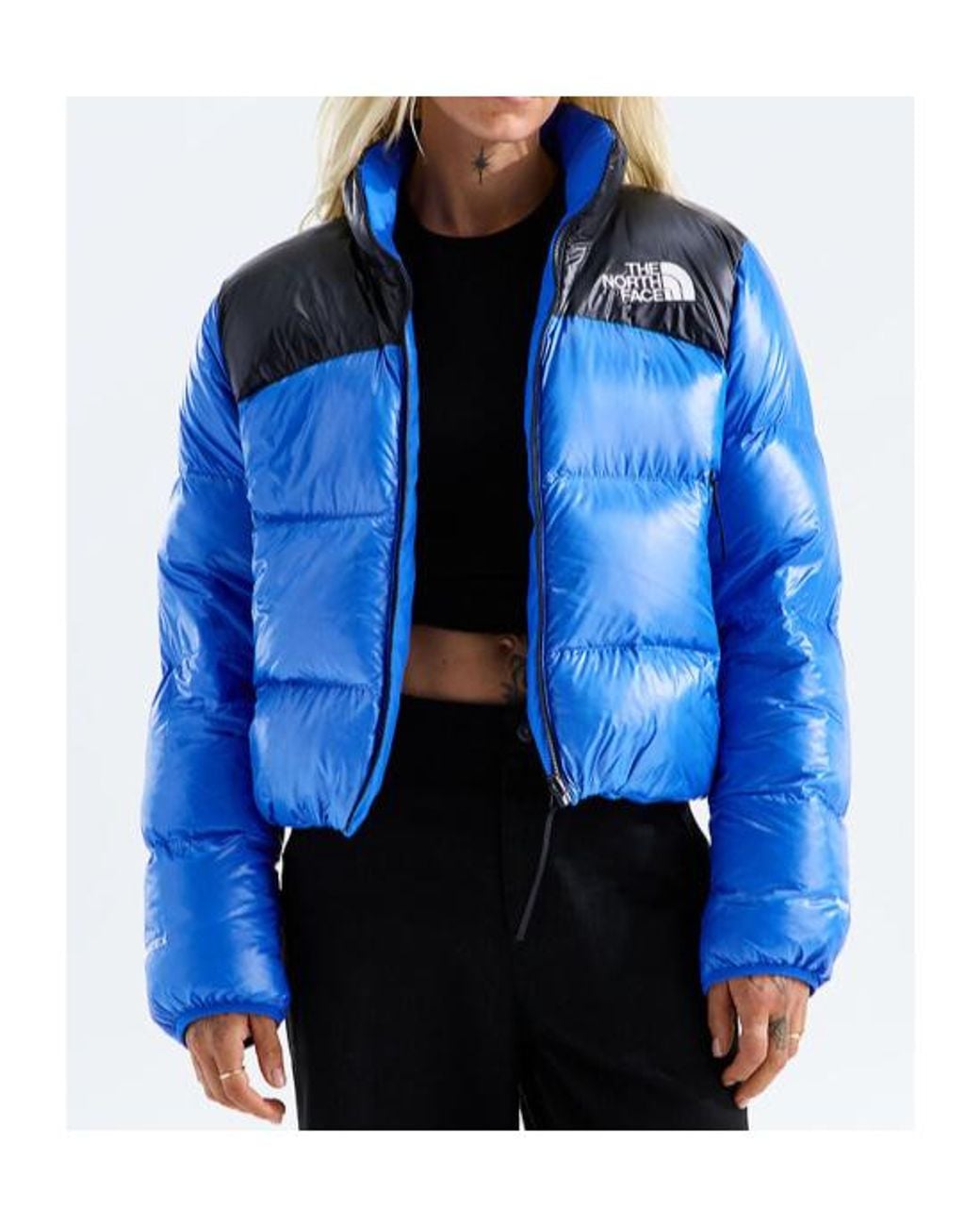 The North Face Blue Colorblock Puffer Down Jacket