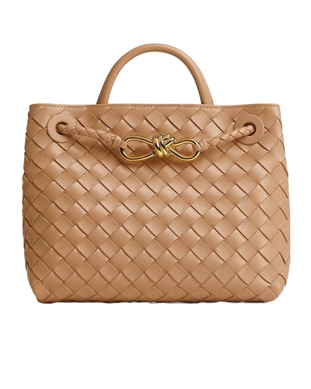 Bottega Veneta Brown Small Andiamo