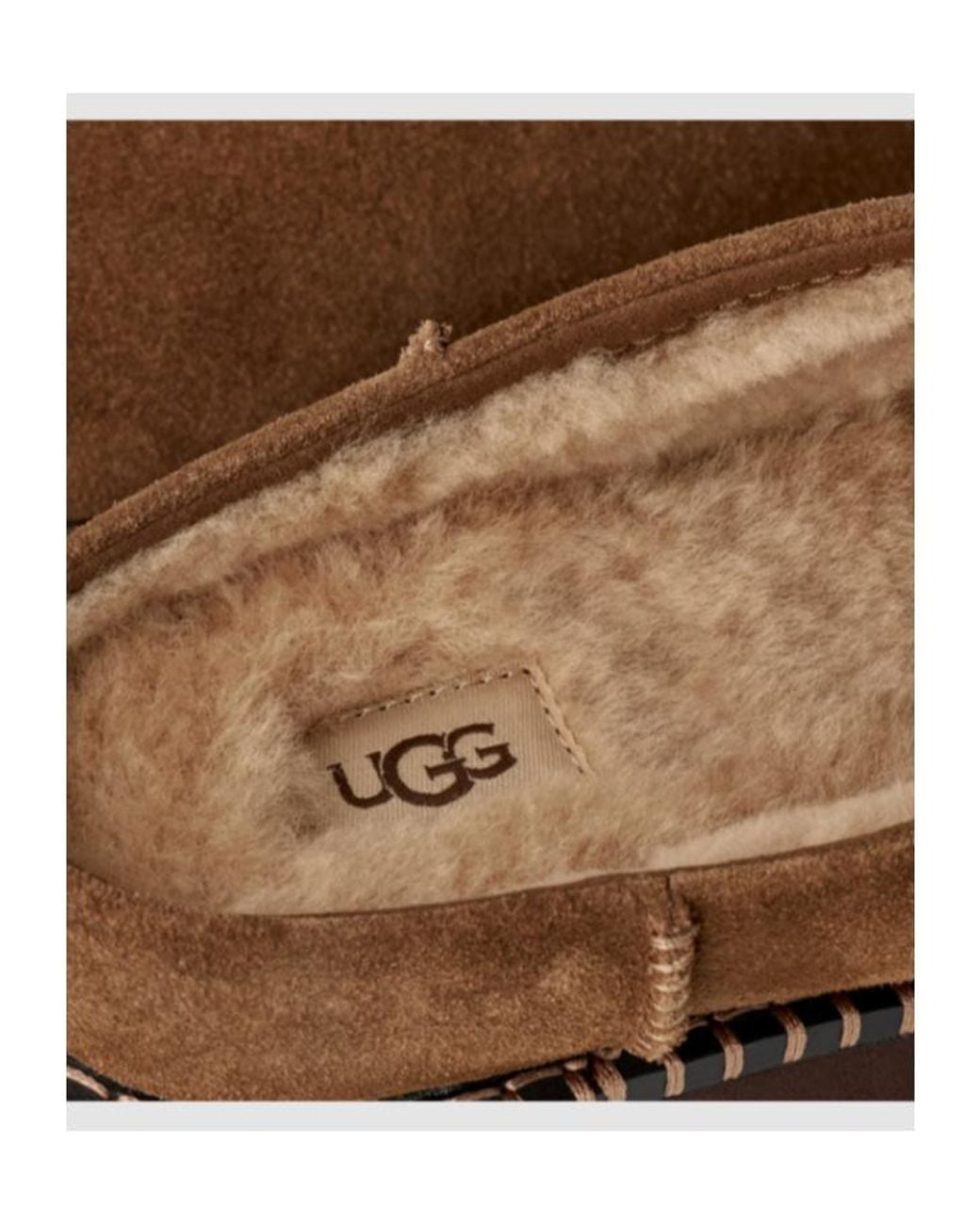 Ugg Brown Uptowner Mule