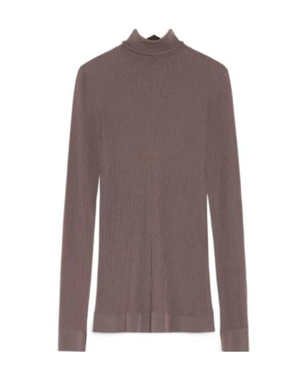 Lemaire Brown Long Sleeve Turtleneck Ribbed Top