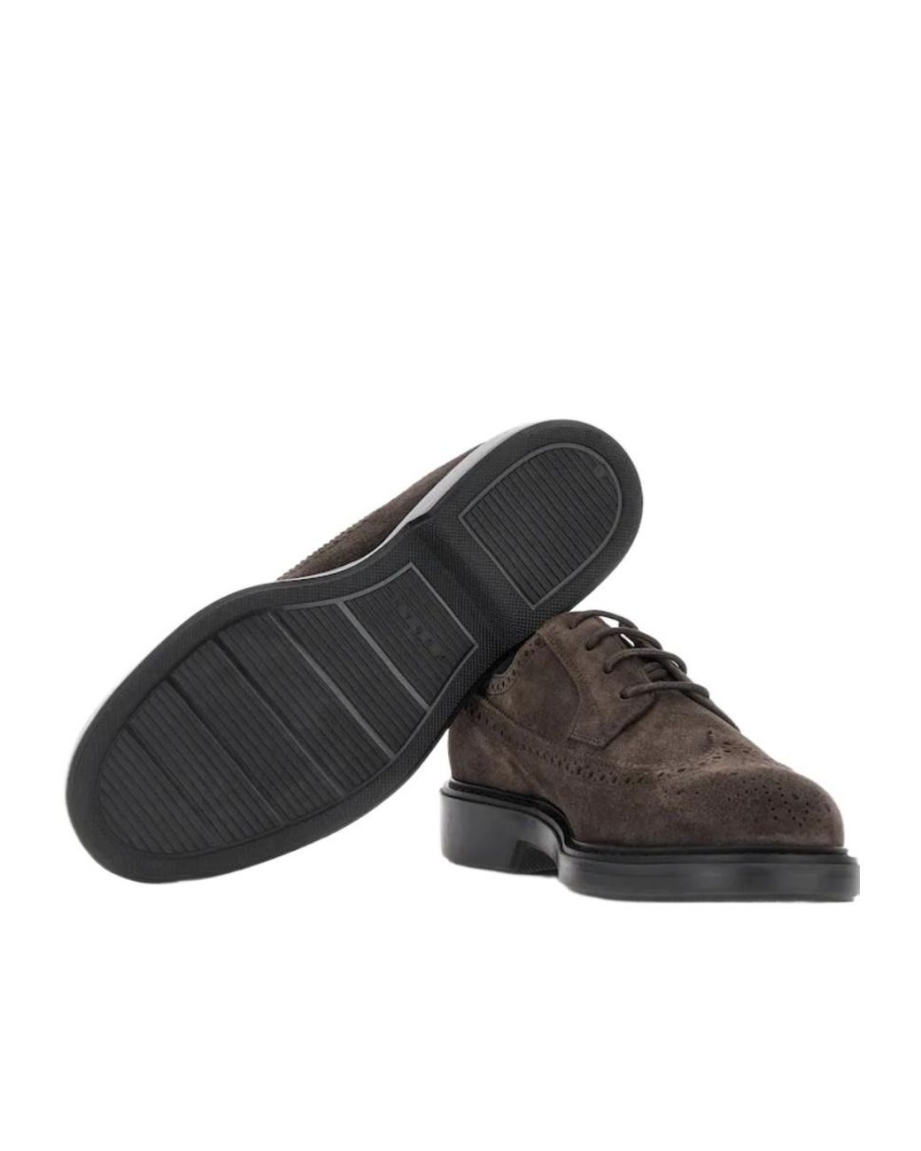 Hogan Brown H704 Brogue Derby Shoes for men