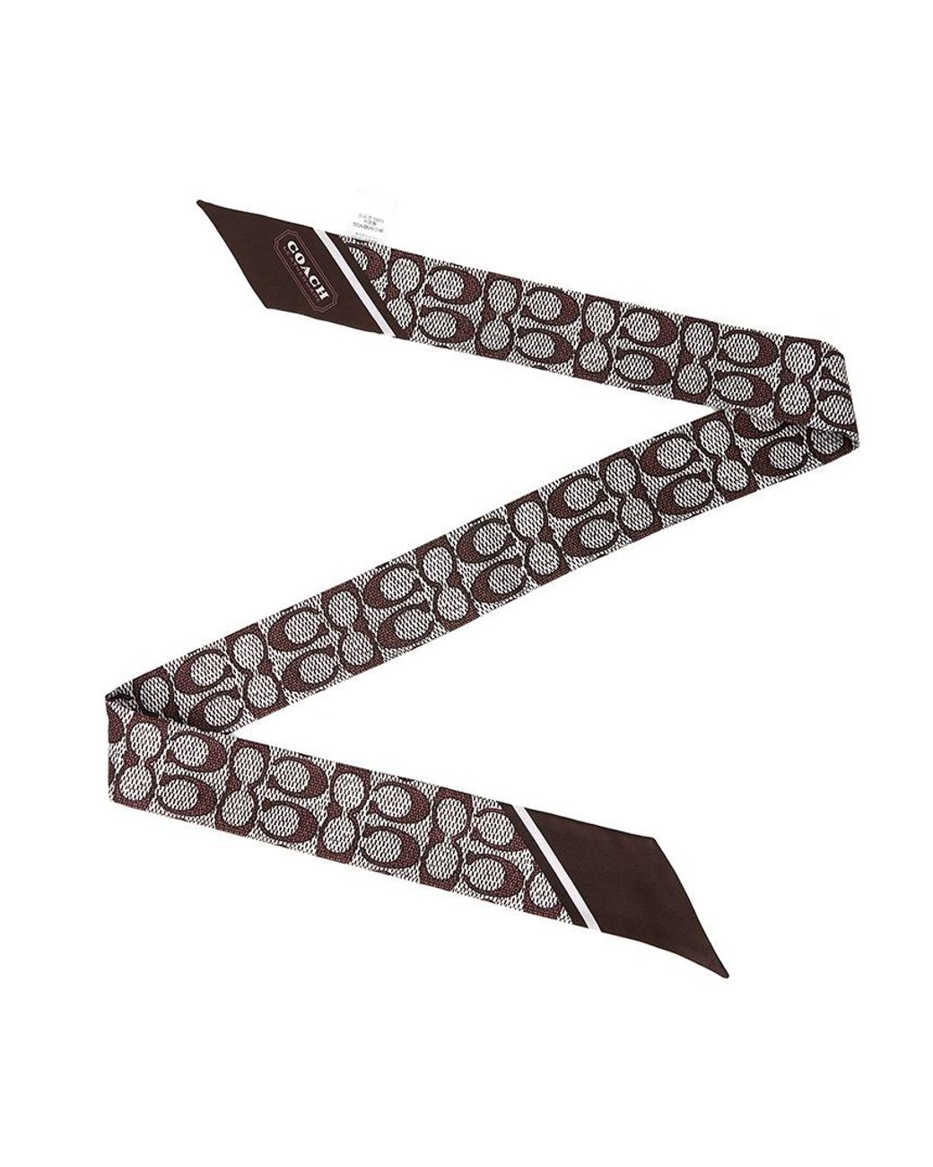 COACH White Pointed Silk Scarf