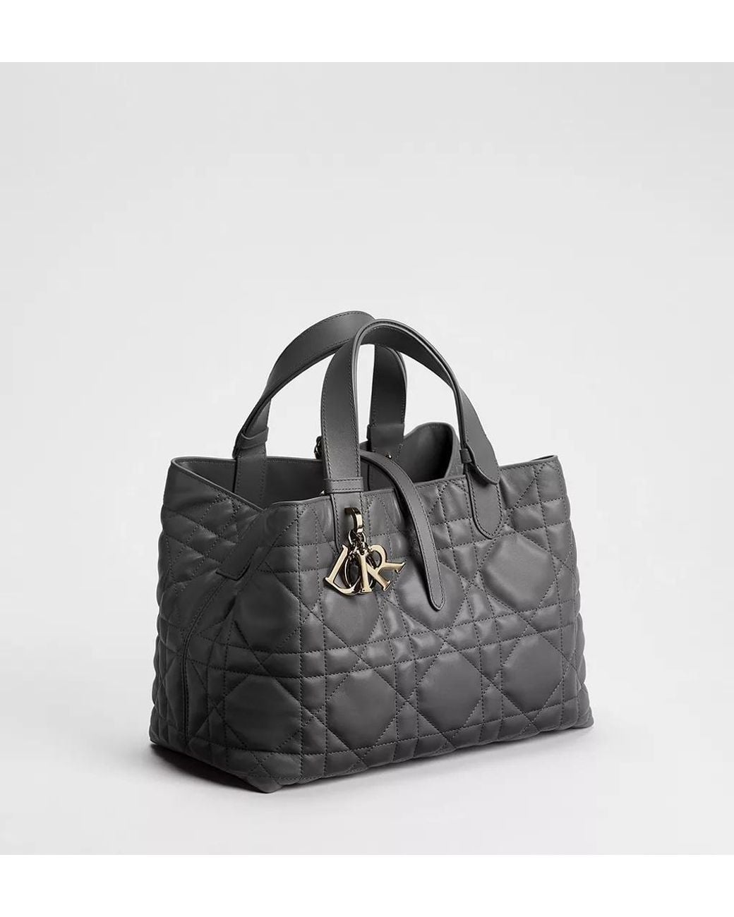 Dior Black Medium Toujours Bag