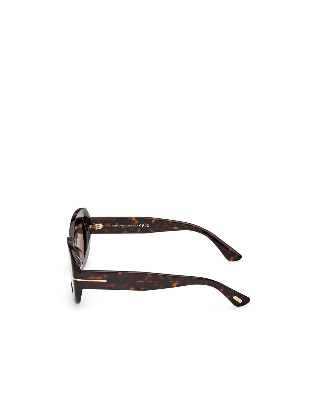 Tom Ford Brown Full Frame Sunglasses