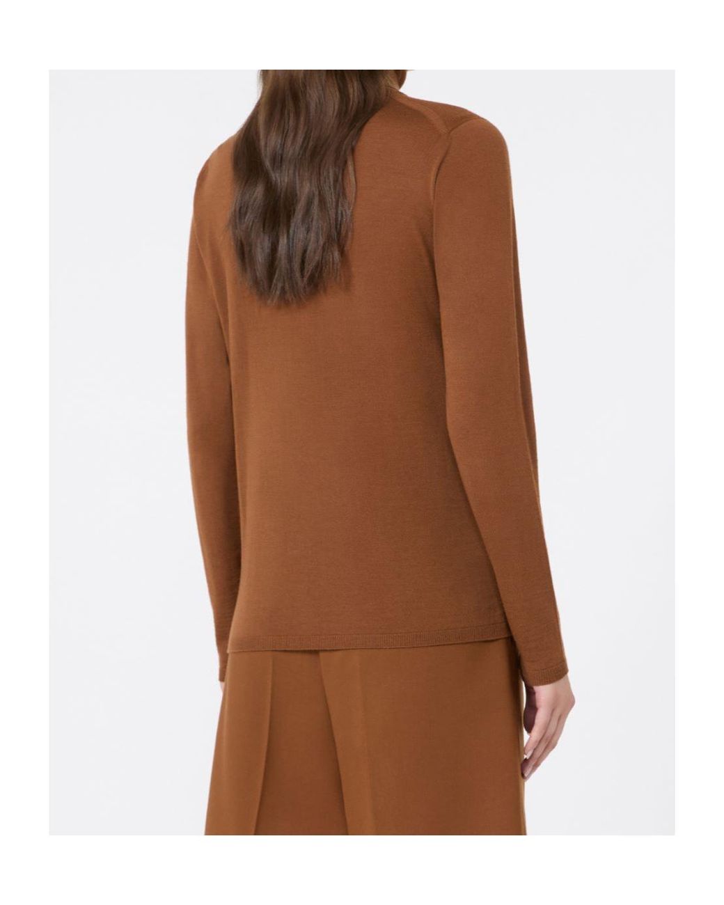 Max Mara Brown Saluto Roll-Neck Long-Sleeve Sweater
