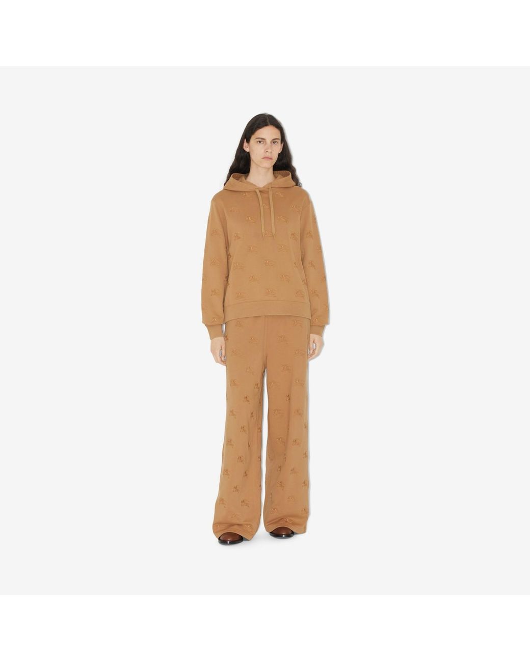 Burberry Brown Logo Embroidered Drawstring Hoodie