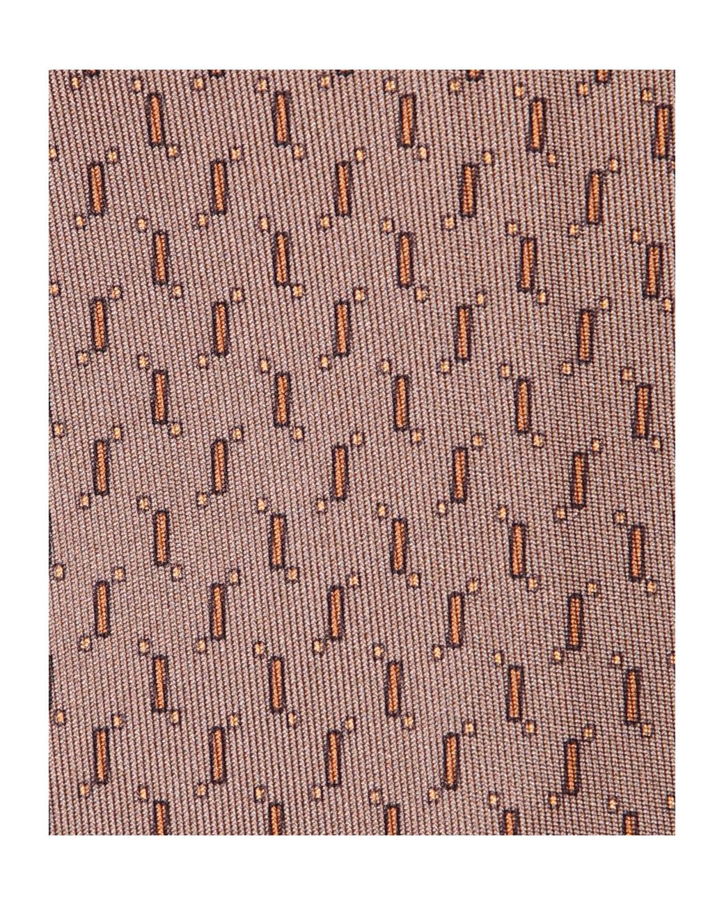Lardini Brown Pointed-Tip Tie for men