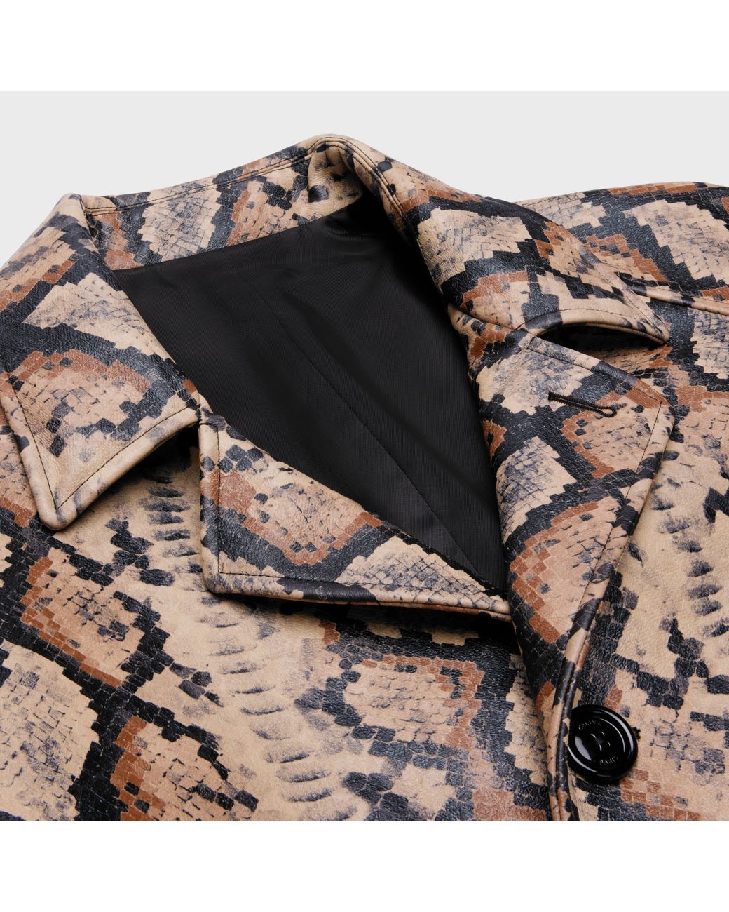 Céline Multicolor Oversized Python Mac Coat for men