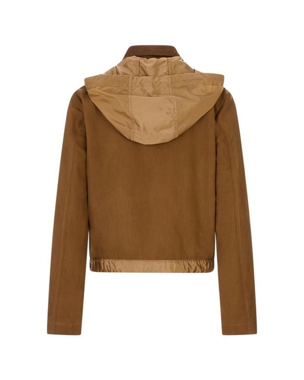 Moncler Brown Aconitum Jacket