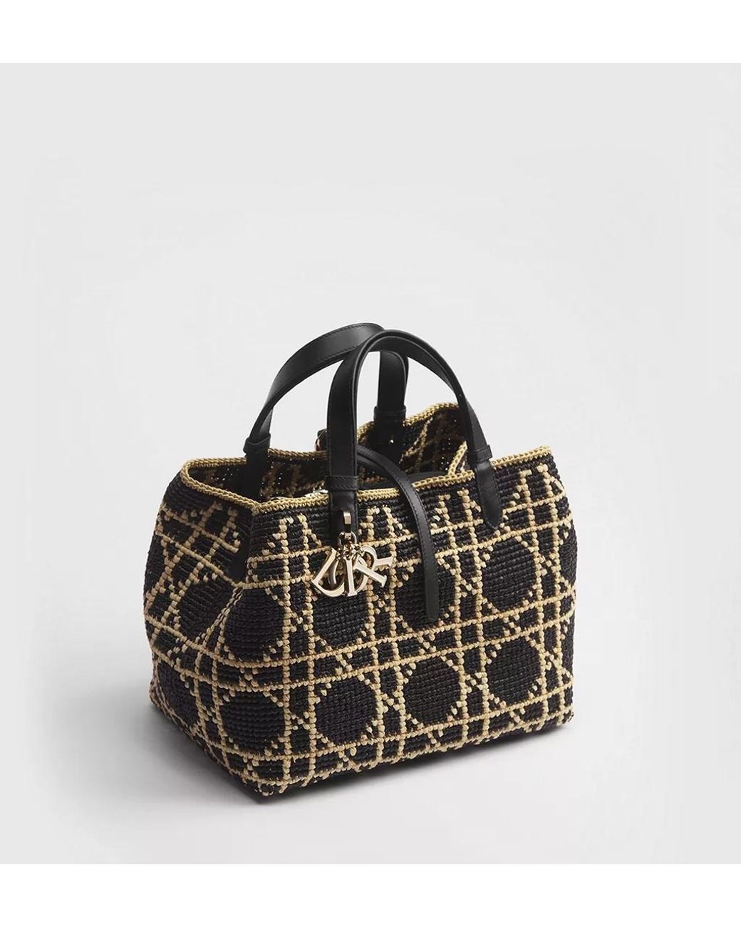 Dior Black Medium Toujours Bag