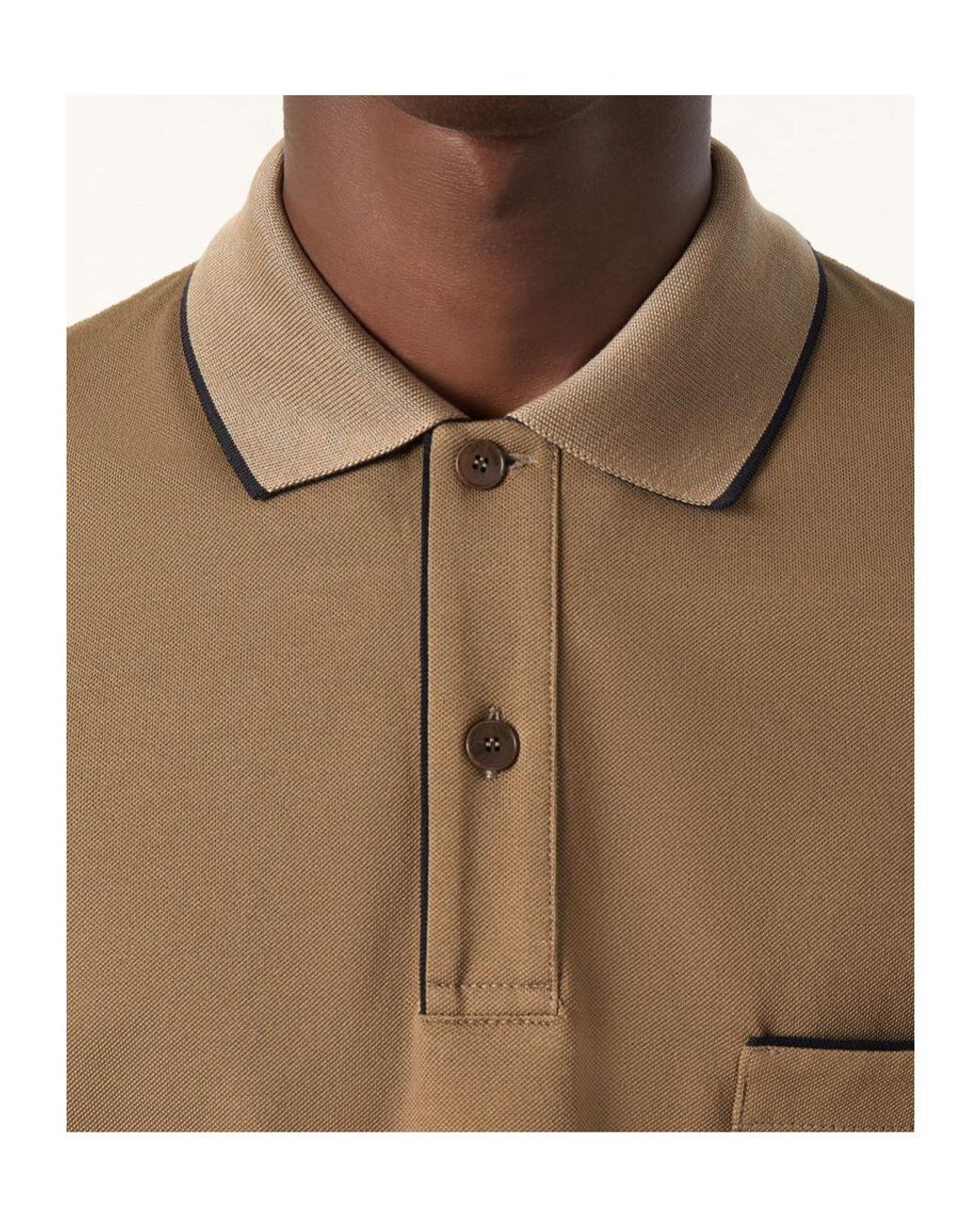 Loro Piana Brown Regatta Polo for men