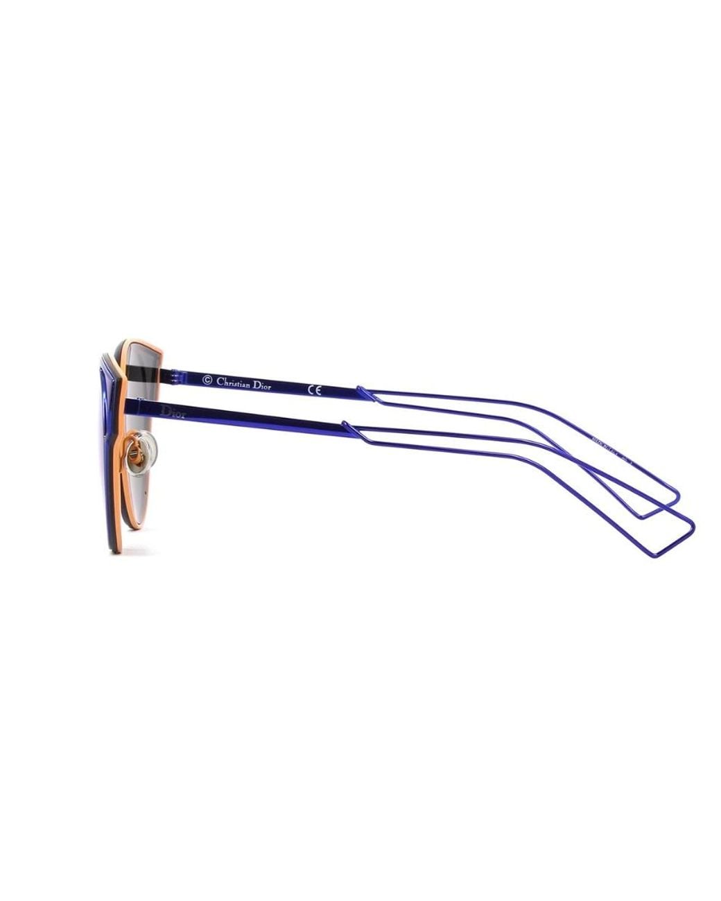 Dior Blue Logo Sunglasses