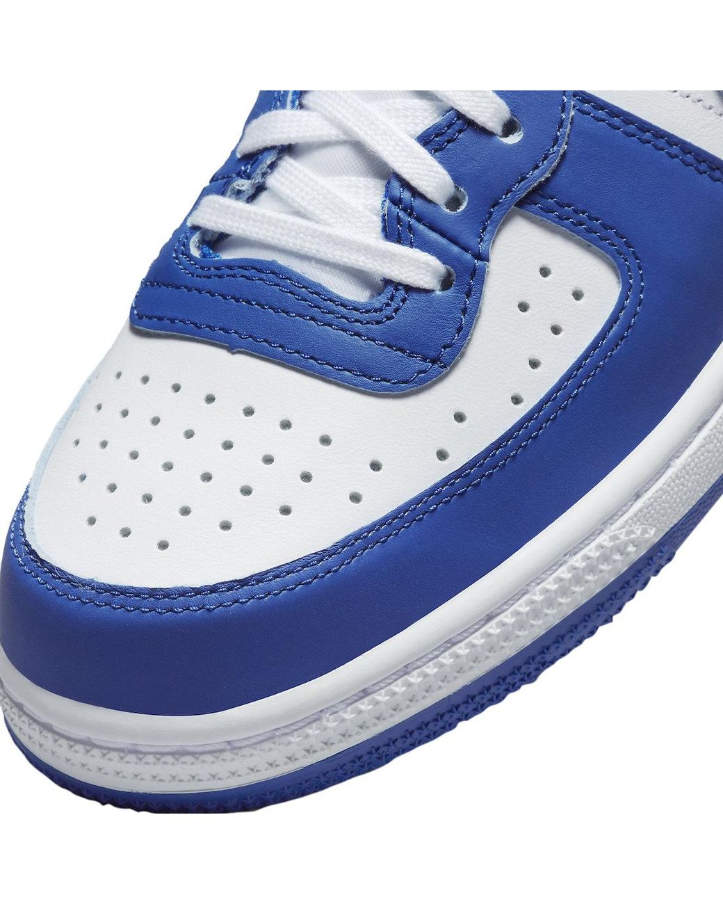 Nike Blue Terminator High-Top Sneakers for men
