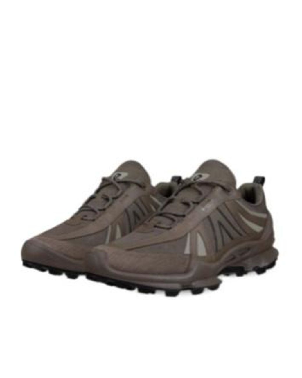 Ecco Brown Biom C-Trail M Dark Clay for men