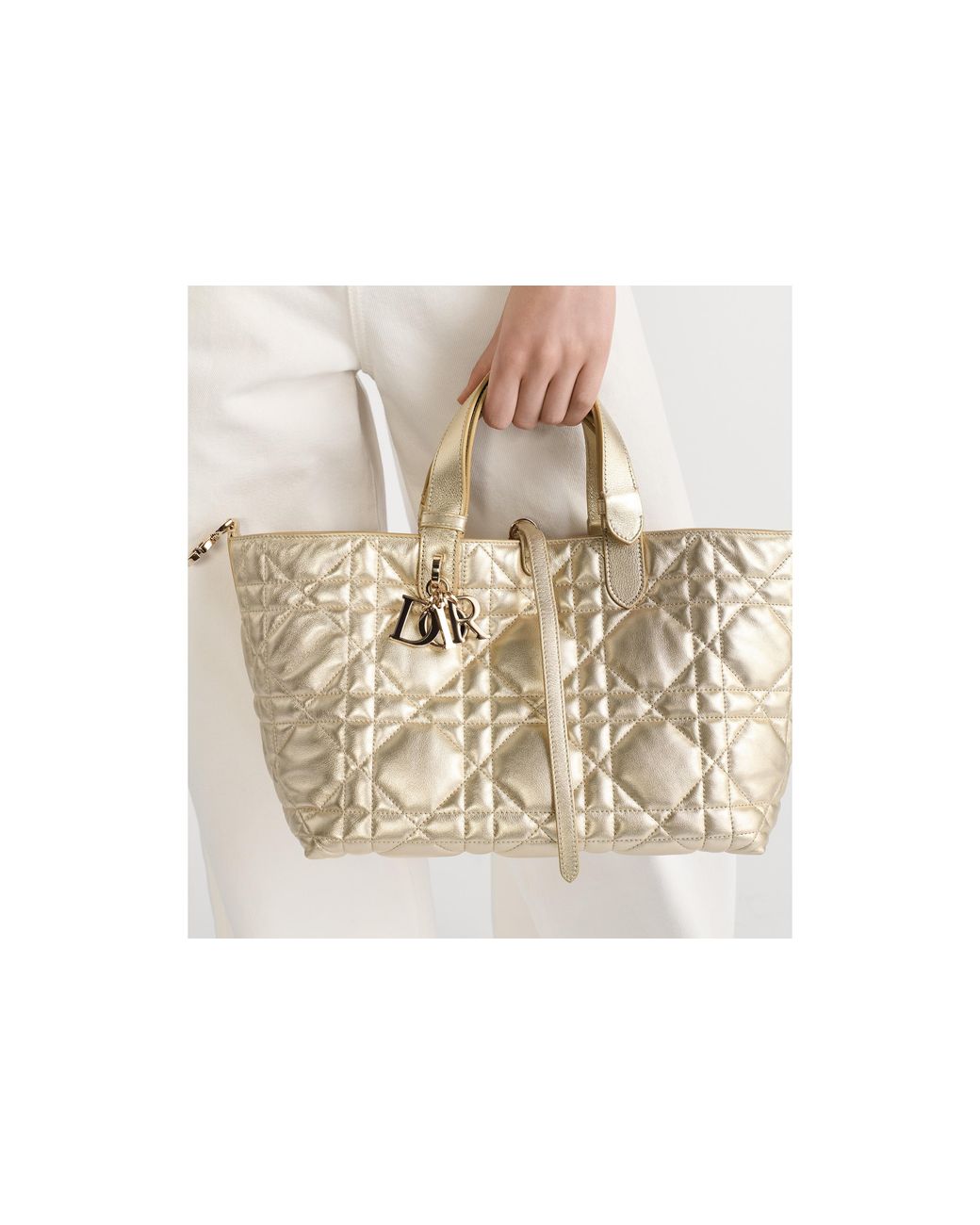 Dior Metallic Medium Toujours Bag