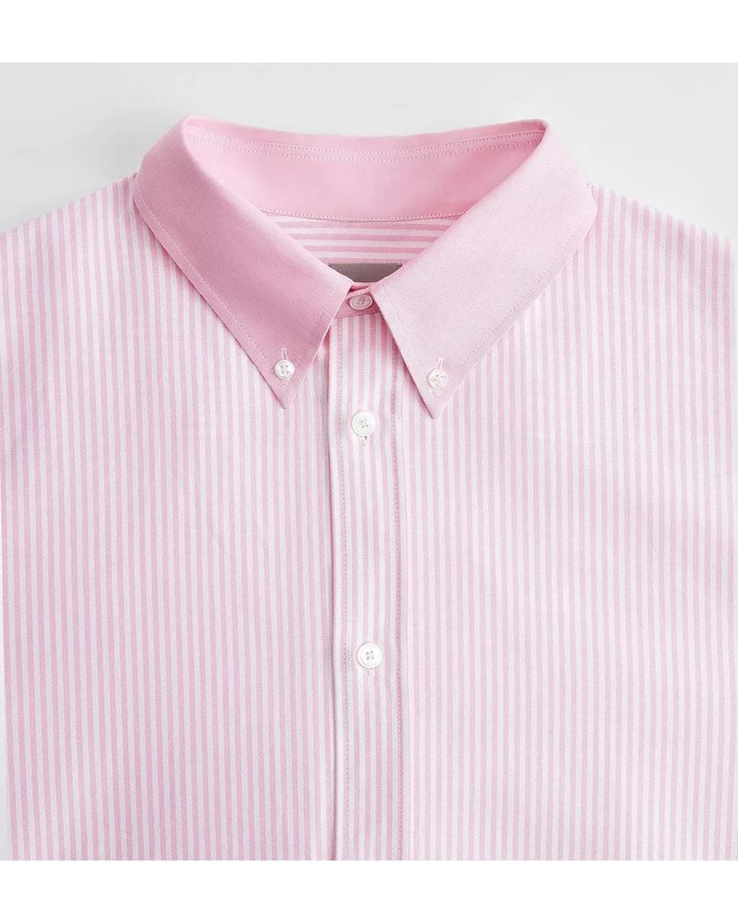 Dior Pink Shirt With Contrasting Details for men
