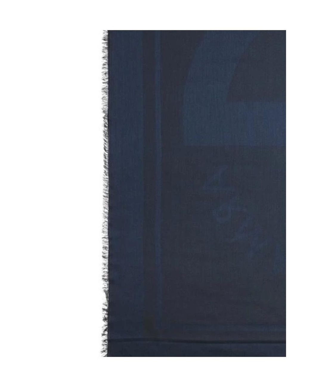 Armani Collezioni Blue Logo Scarf for men