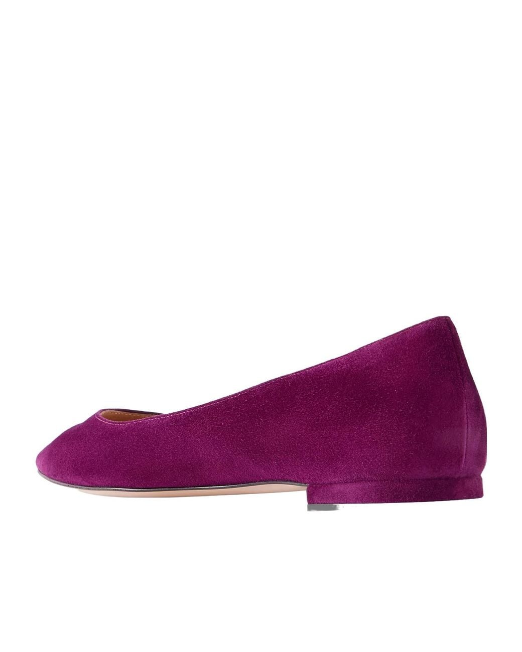 Gianvito Rossi Purple Solid Suede Ballet Flats