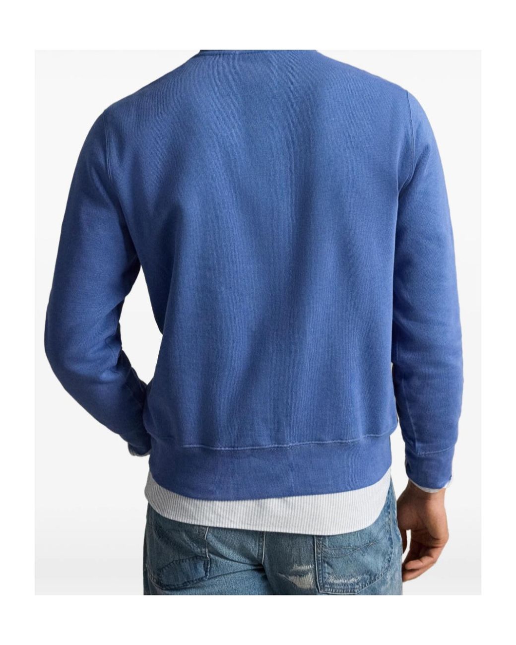 Polo Ralph Lauren Blue Polo Bear Print Sweatshirt for men