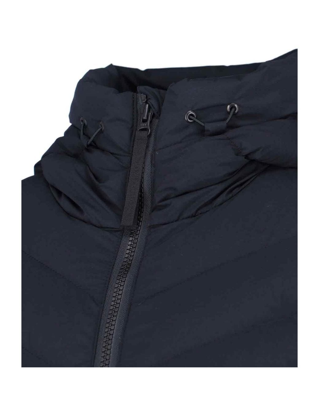 Canada Goose Blue Clair Down Coat