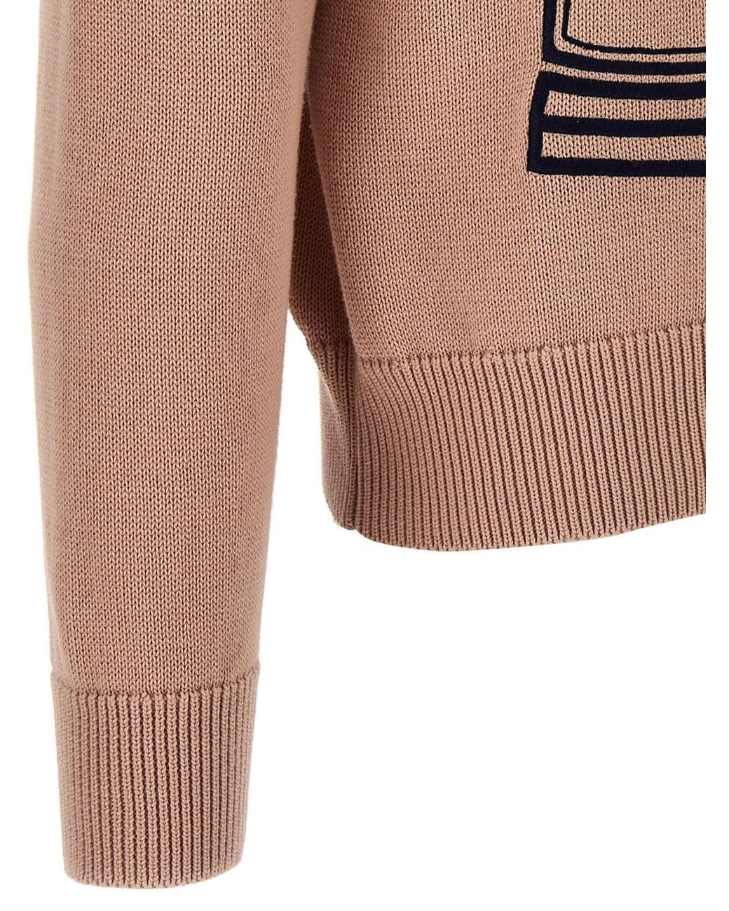 Etro Pink Motif-Embroidered Knit Jumper for men