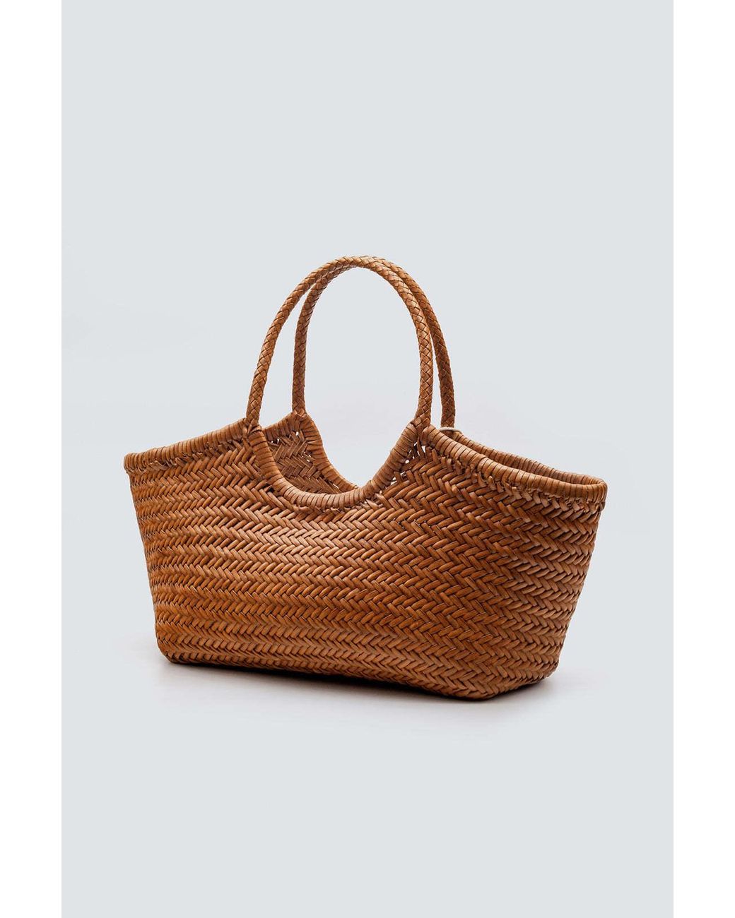 Dragon Diffusion Brown Nantucket Big Tote Bag