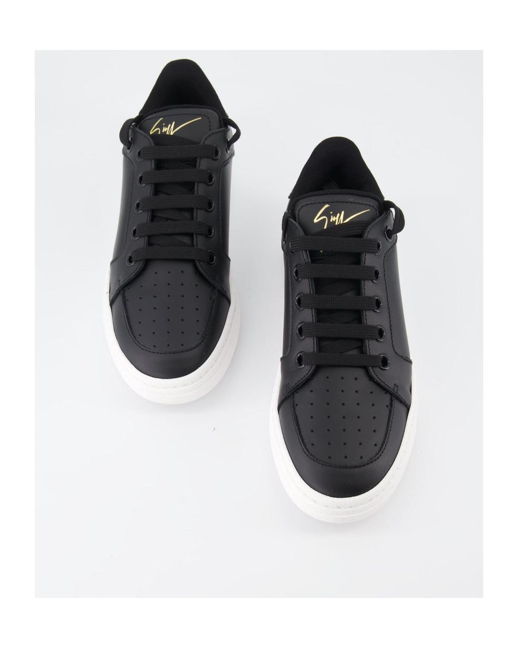 Giuseppe Zanotti Black Gz94 Low-Top Sneakers
