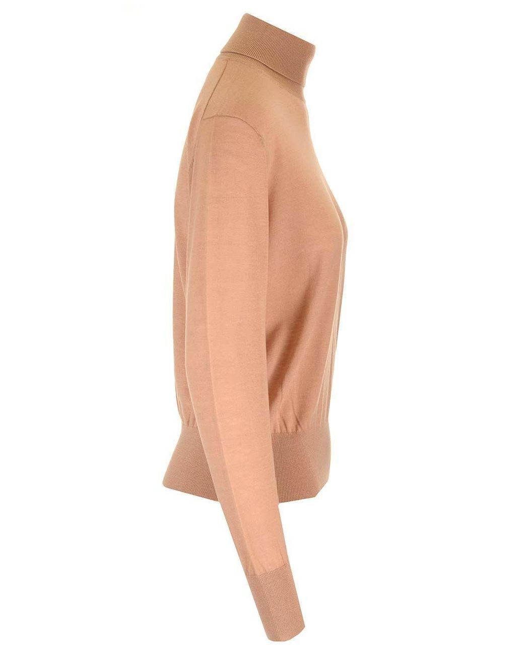 Forte_forte Multicolor Superfine Merinos Turtleneck Knitwear