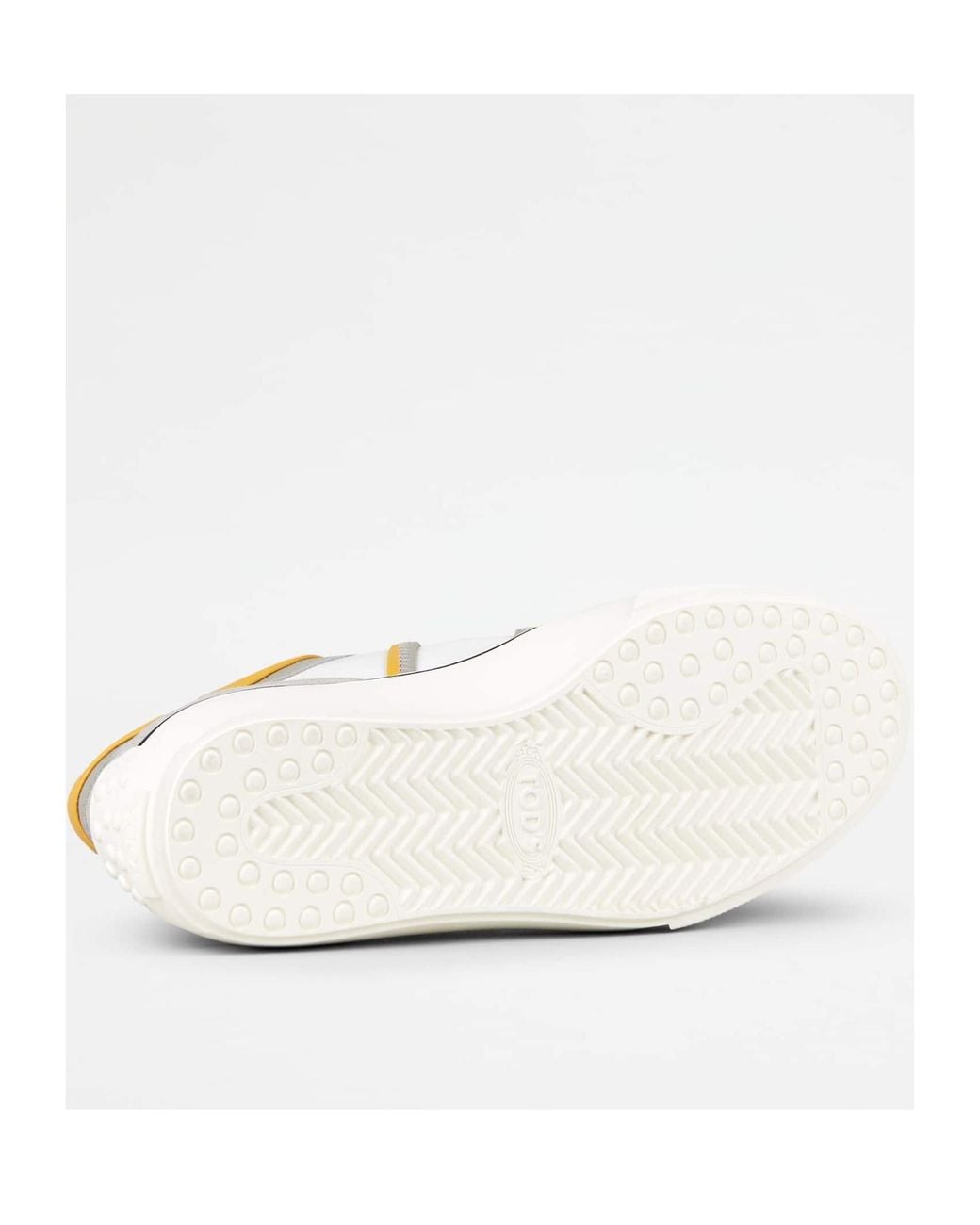 Tod's White Sneakers
