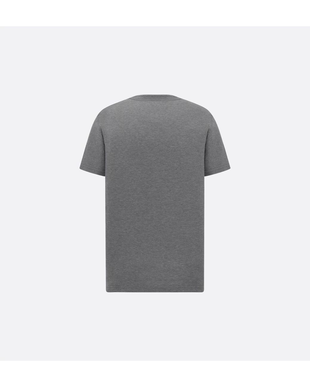 Dior Gray Homme Icons Regular Fit T-Shirt for men