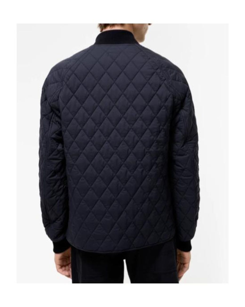 Burberry Blue Quilted Bomber Jacket for men