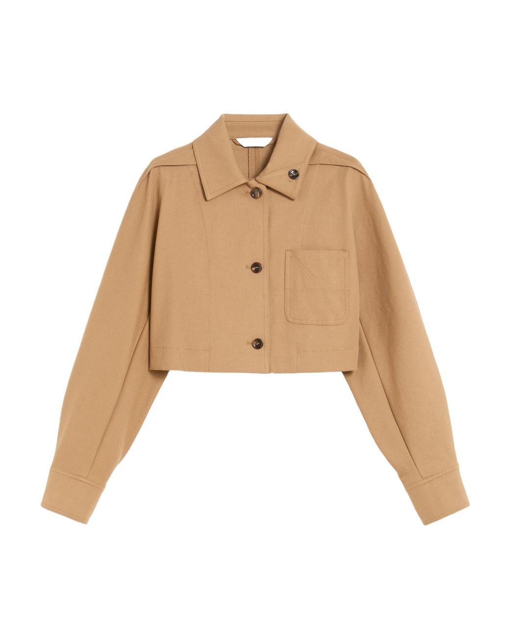 Max Mara Natural Smalto Button-Up Cropped Jacket