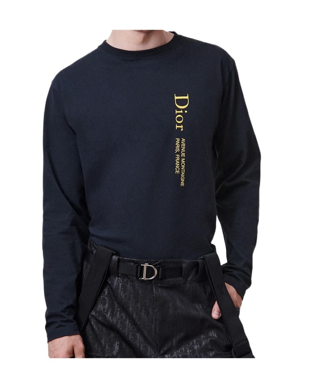 Dior Blue Alps Montaigne Long-Sleeved T-Shirt, Relaxed Fit for men
